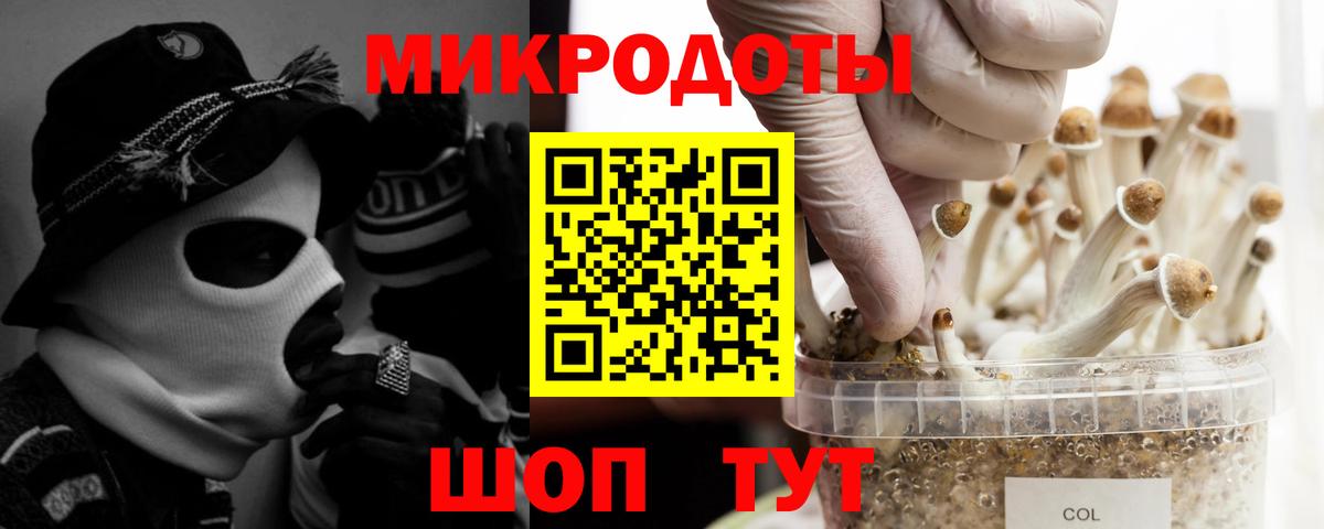 Псилоцибиновые грибы GOLDEN TEACHER  Псилоцибиновые грибы Magic Shrooms  Вход с VPN  Мурино 